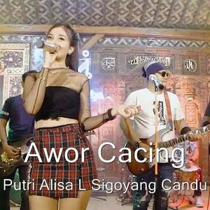 Putri Alisa L Sigoyang Candu