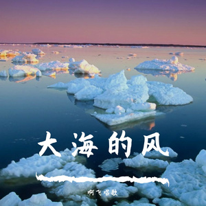 大海的风
