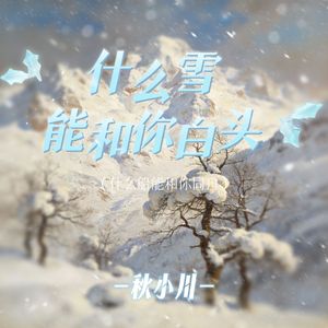 什么雪能和你白头 (什么船能和你同舟)