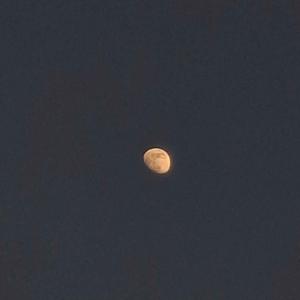take me to the moon (Instrumental)
