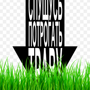Спущусь потрогать траву