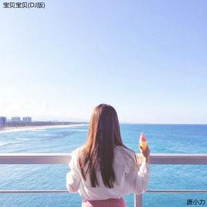 宝贝宝贝 (Dj版)