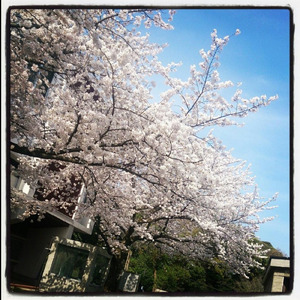 生きるのをやめる時も (feat. 花隈千冬)