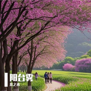 阳台雾
