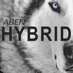 Hybrid (Festival Mix)