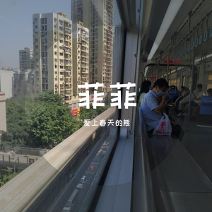 菲菲(翻自 沈以诚)