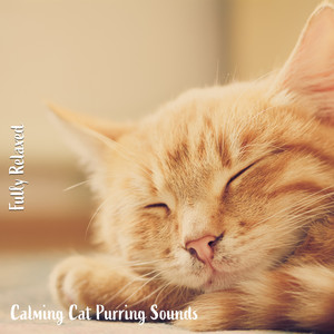 Calming Cat Purring Sounds, Pt. 15