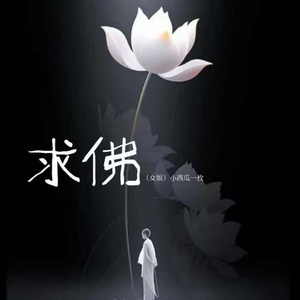 求佛 (女版)