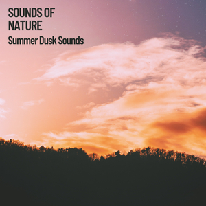 Wild summer afternoon