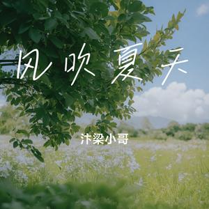 风吹夏天