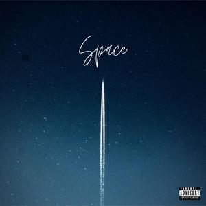 Racoon (feat. Travlr & fks)