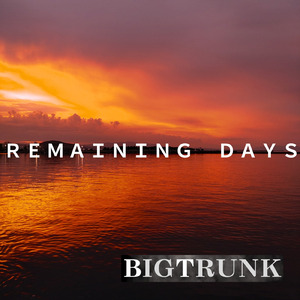 REMAINING DAYS