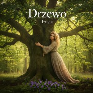 Drzewo