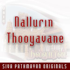 Nallurin Thooyavane (feat. Meera Mathu, Shangeerththan, Jeyanthan Wicky, Ramanan Raam, Singer Madonna Barathy & Pakir Mohan)