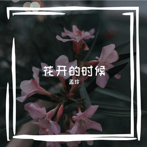 花开的时候