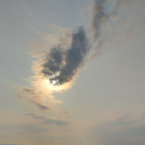 Tylko kochankowie przeżyją