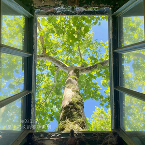 你的生命是一万次的春和景明