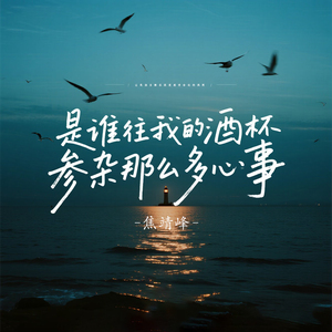 是谁往我的酒杯参杂那么多心事