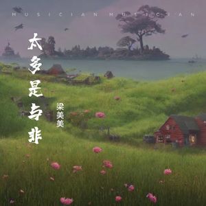 太多是与非