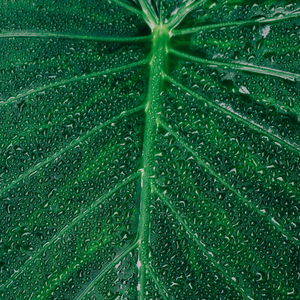 When the Clouds Roll Over