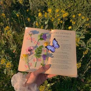 蜜蜂 demo（简易和声版)