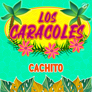 Cachito