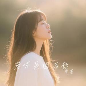若不是因为你