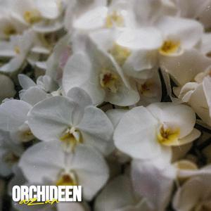 Orchideen