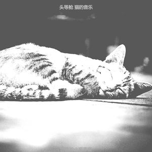 微妙的小猫心情