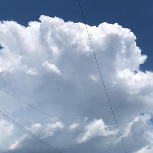 深海（by youngmarkin）