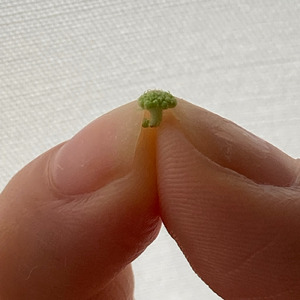 言葉足らずで問わず語りのうた