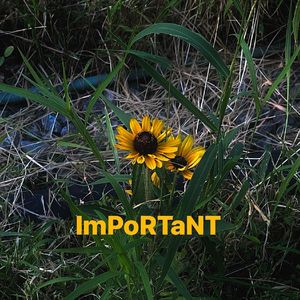 ImPoRTaNT [Pord.Daisy Beat]