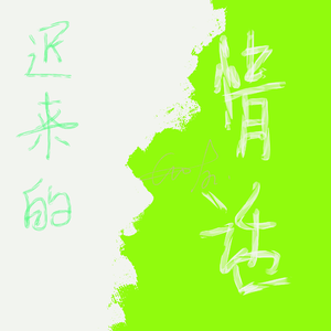 迟来的情话（片段）