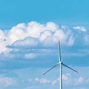 因为我已触碰过天空