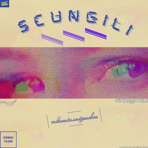 ｓｃｕｎｇｉｌｉ