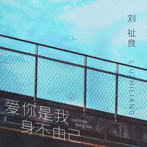 爱你是我身不由己 (伴奏)