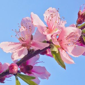 雨滴思念的悸动