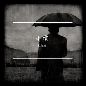 小雨