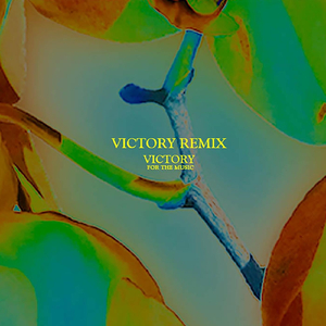Victory (Remix)