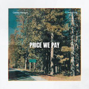 Price We Pay