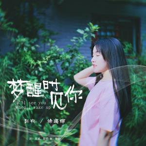 梦醒时见你 (伴奏)