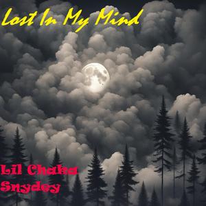 Lost In My Mind (feat. Snydey, Noshoes, Makozally & OKman)