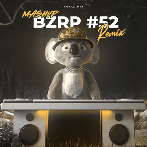 BZRP QUEVEDO X SHE DON'T GIVE A FO (Remix)