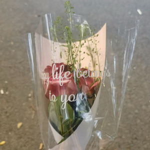 “Free”采样&河南神type beat by YR “过去爱”