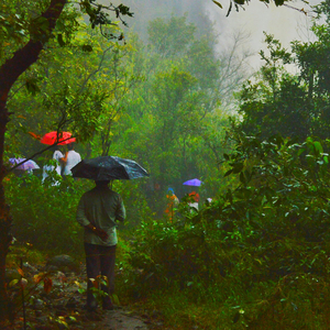 ︑、 ╲RaiN.╲︑、