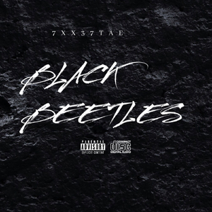 Black Beetles