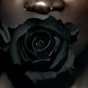 Black Roses