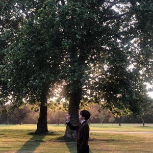 Winter Bear（翻自 V.）