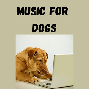 Pet Music