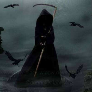 【FREE】 drop into my my T